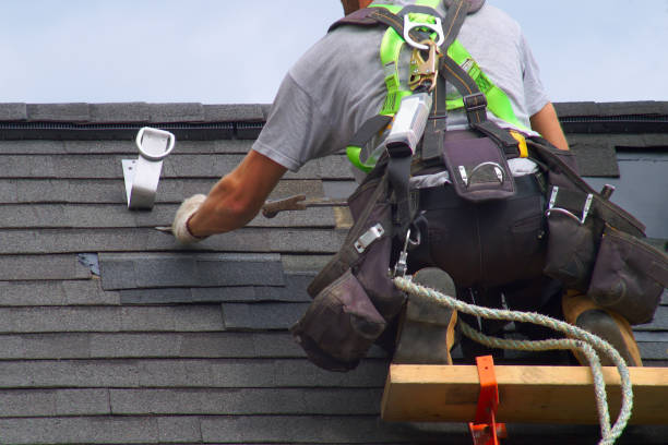 Best Roof Gutter Cleaning  in Eldorado, IL