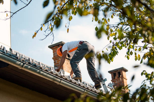 Trusted Eldorado, IL Roofing Contractor Experts